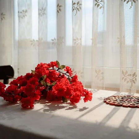 Back In Time 公寓 瓦爾納