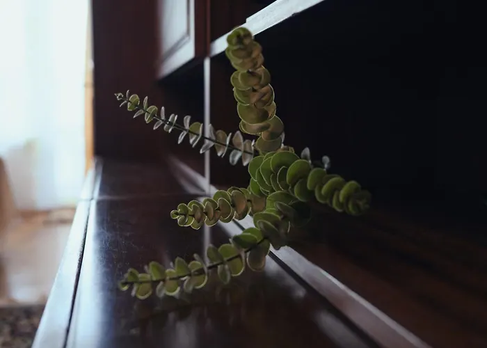 Appartement Back In Time Varna